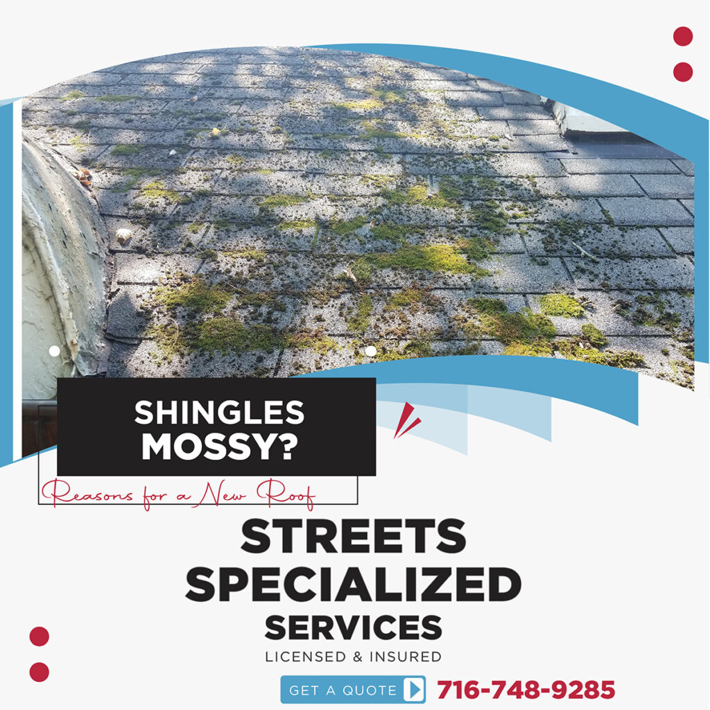 Mossy shingles are a warning sign you could have a potential problem. Contact Streets Specialized Services for roof inspection, repair, and replacement.